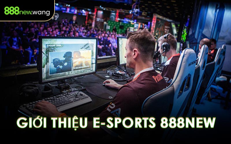 Giới Thiệu E-Sports 888NEW
