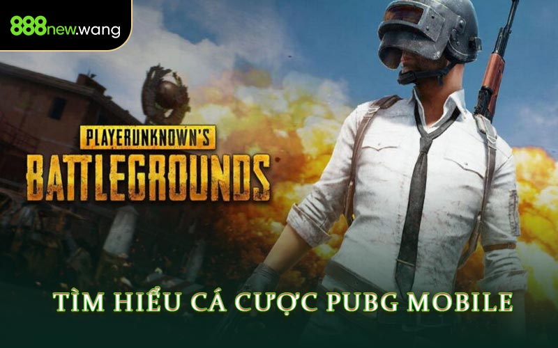 Tìm Hiểu Cá Cược PUBG Mobile