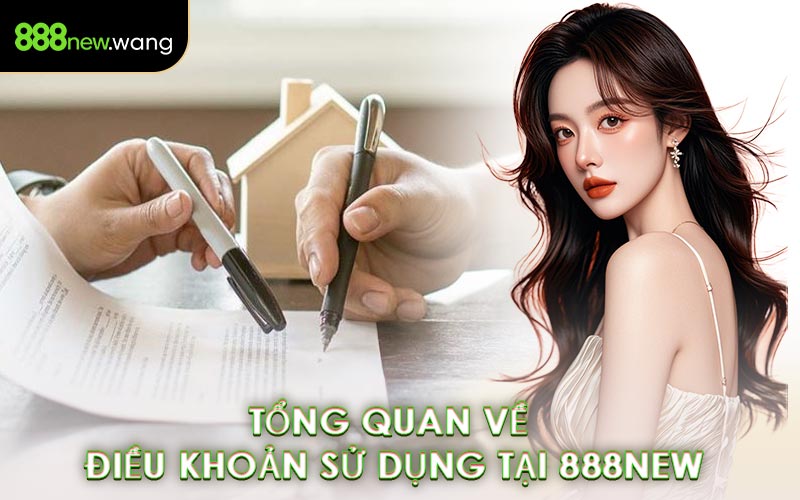 Tổng Quan Về Điều Khoản Sử Dụng Tại 888NEW